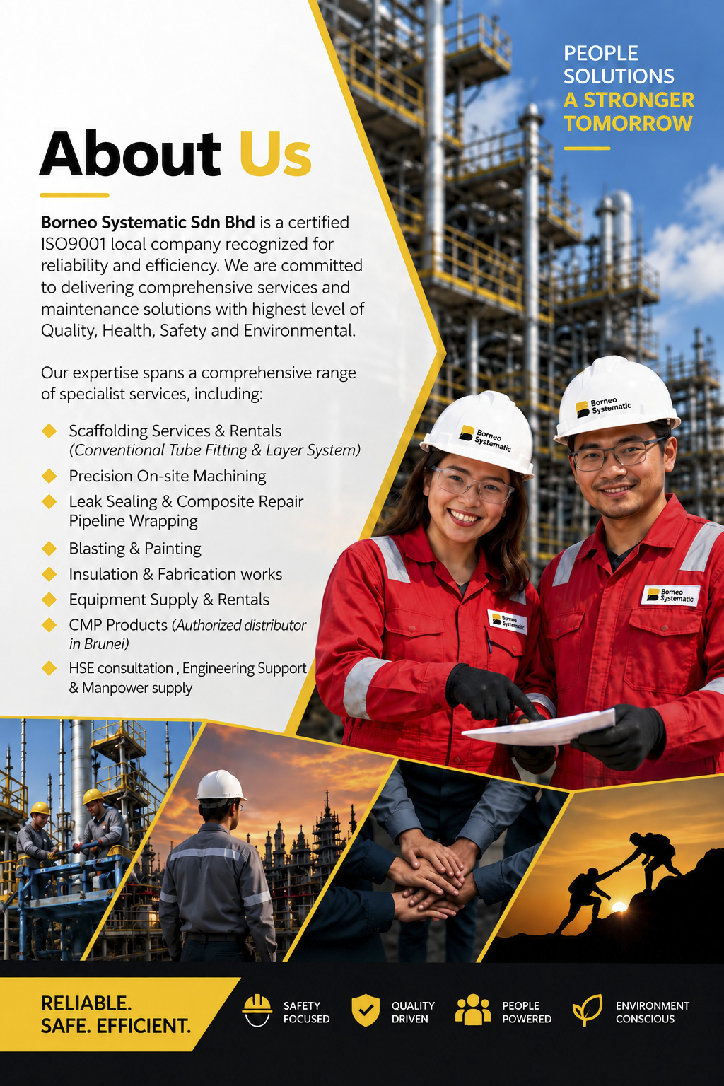 Borneo Systematic About Us